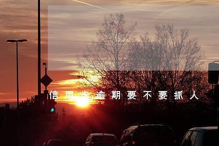 信用卡逾期要不要抓人 信用卡逾期要不要抓人