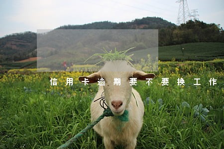 信用卡逾期要不要换工作