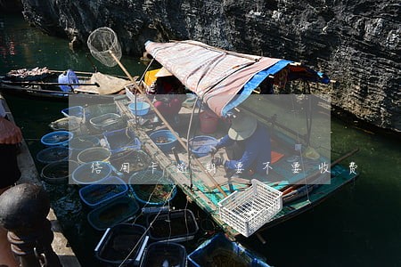 信用卡逾期要不要收费 信用卡逾期要不要收费