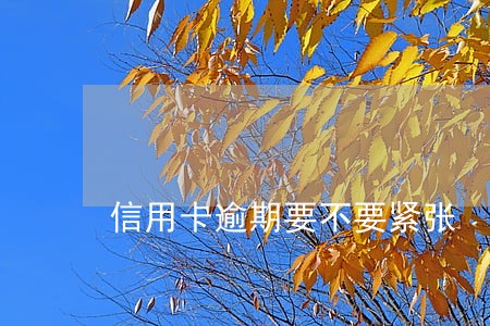 信用卡逾期要不要紧张 信用卡逾期要不要紧张