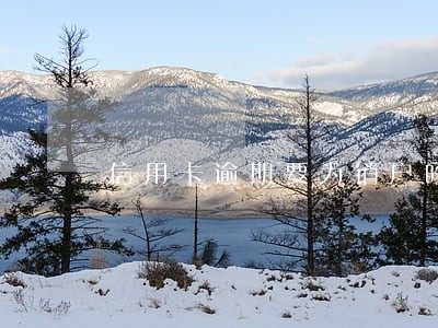 信用卡逾期要为销户吗 信用卡逾期要为销户吗