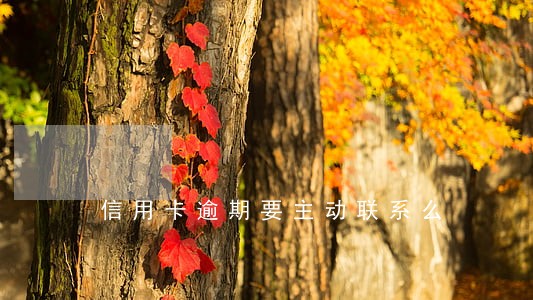信用卡逾期要主动联系么 信用卡逾期要主动联系么