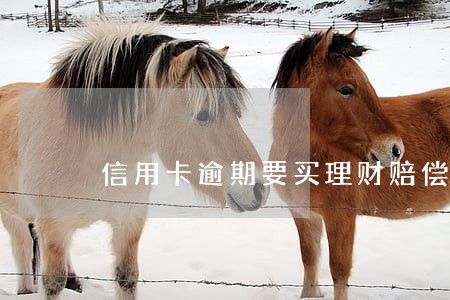 信用卡逾期要买理财赔偿 信用卡逾期要买理财赔偿