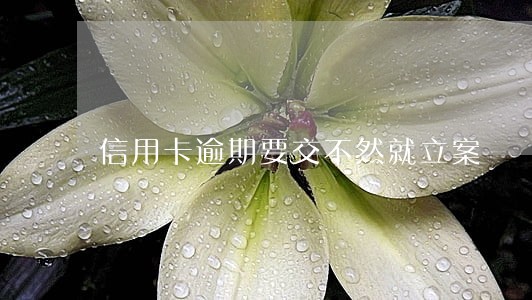 信用卡逾期要交不然就立案