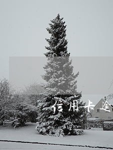 信用卡逾期要交多少钱