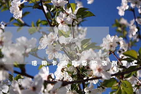 信用卡逾期要你去刑警大队询问 信用卡逾期要你去刑警大队询问