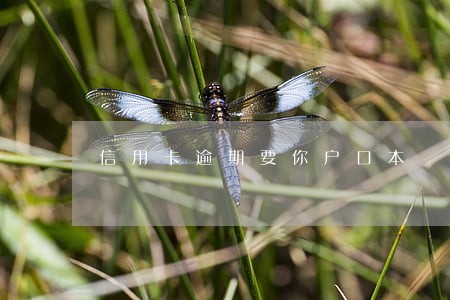 信用卡逾期要你户口本