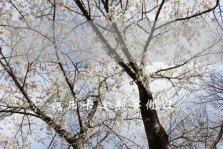 信用卡逾期要做口 信用卡逾期要做口