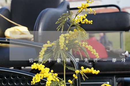 信用卡逾期要先还一部分吗 信用卡逾期要先还一部分吗
