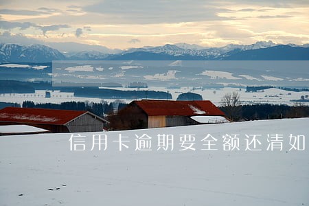 信用卡逾期要全额还清如何应对 信用卡逾期要全额还清如何应对