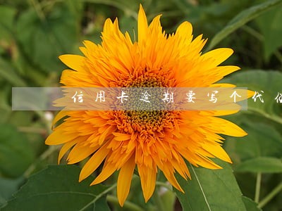 信用卡逾期要写个代偿书 信用卡逾期要写个代偿书