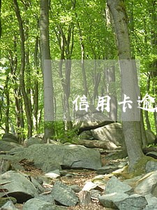 信用卡逾期要冻结吗 信用卡逾期要冻结吗