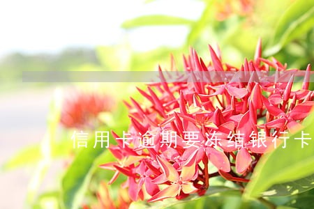 信用卡逾期要冻结银行卡 信用卡逾期要冻结银行卡