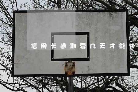 信用卡逾期要几天才能协商