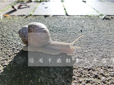 信用卡逾期要几年恢复