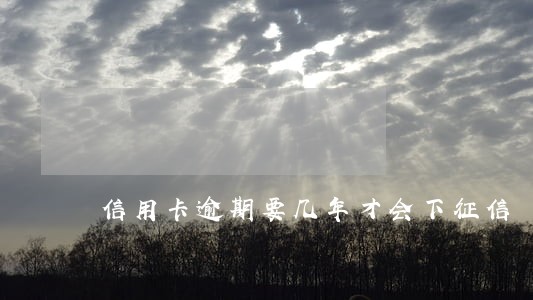信用卡逾期要几年才会下征信 信用卡逾期要几年才会下征信