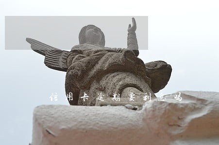 信用卡逾期要利息吗 信用卡逾期要利息吗