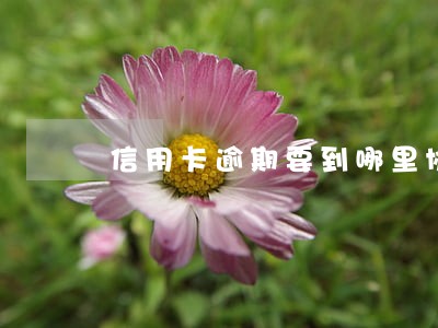 信用卡逾期要到哪里协商