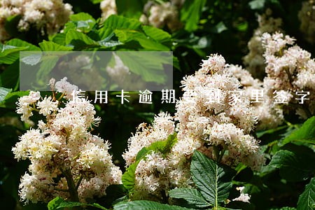 信用卡逾期要到家里签字 信用卡逾期要到家里签字