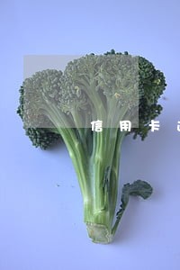 信用卡逾期要到我单位 信用卡逾期要到我单位