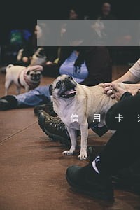 信用卡逾期要到老婆户籍地