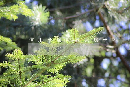 信用卡逾期要卖房子吗 信用卡逾期要卖房子吗