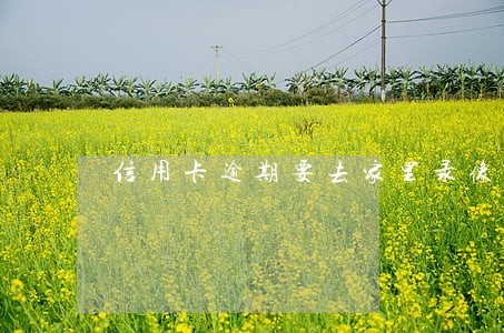信用卡逾期要去家里录像取证 信用卡逾期要去家里录像取证