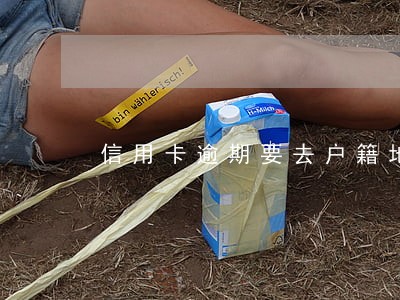 信用卡逾期要去户籍地怎么办 信用卡逾期要去户籍地怎么办