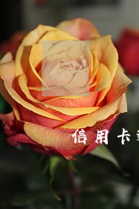 信用卡逾期要去银行总部协商吗 信用卡逾期要去银行总部协商吗