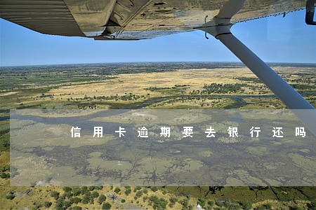 信用卡逾期要去银行还吗 信用卡逾期要去银行还吗