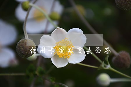 信用卡逾期要去面签 信用卡逾期要去面签