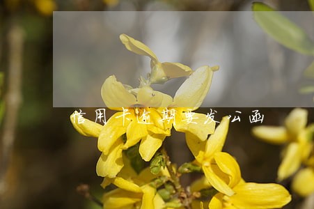 信用卡逾期要发公函 信用卡逾期要发公函