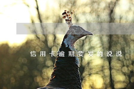 信用卡逾期要发的说说 信用卡逾期要发的说说