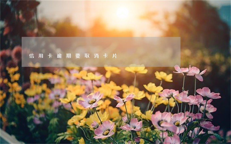 信用卡逾期要取消卡片 信用卡逾期要取消卡片