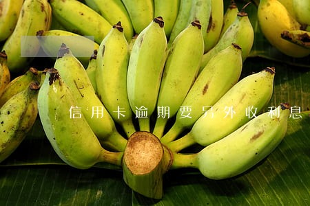 信用卡逾期要另外收利息吗