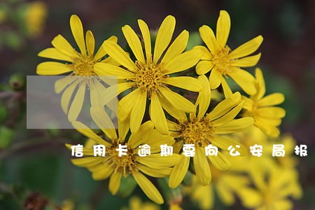 信用卡逾期要向公安局报案吗 信用卡逾期要向公安局报案吗