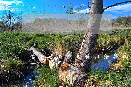 信用卡逾期要地址给他吗