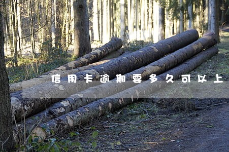 信用卡逾期要多久可以上征信 信用卡逾期要多久可以上征信