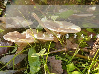 信用卡逾期要多久才能消 信用卡逾期要多久才能消