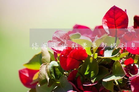 信用卡逾期要多少钱利息呢