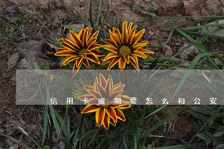 信用卡逾期要怎么和公安的说