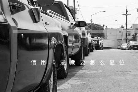 信用卡逾期要怎么复位
