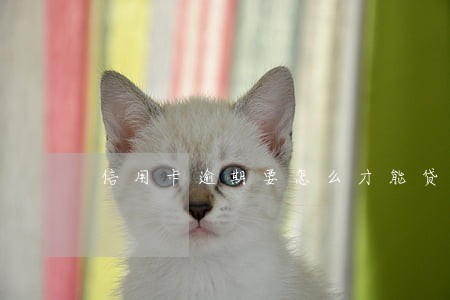 信用卡逾期要怎么才能贷款 信用卡逾期要怎么才能贷款