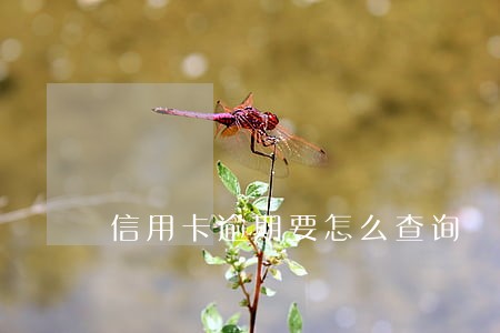 信用卡逾期要怎么查询 信用卡逾期要怎么查询