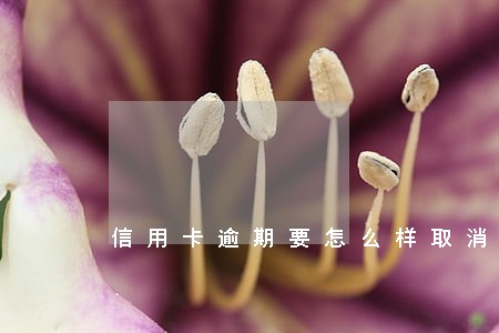 信用卡逾期要怎么样取消 信用卡逾期要怎么样取消