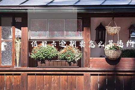信用卡逾期要怎么算违约费 信用卡逾期要怎么算违约费