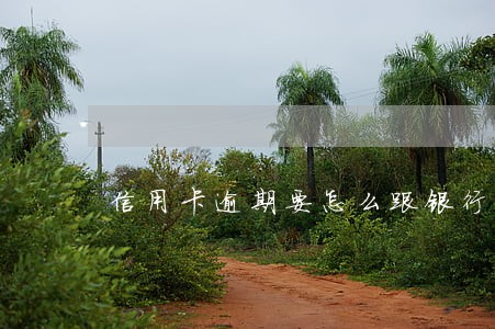 信用卡逾期要怎么跟银行协商 信用卡逾期要怎么跟银行协商