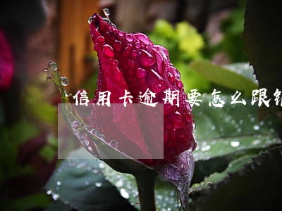 信用卡逾期要怎么跟银行说