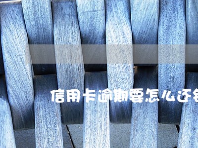 信用卡逾期要怎么还钱 信用卡逾期要怎么还钱