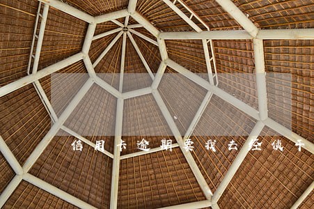 信用卡逾期要我去经侦干嘛 信用卡逾期要我去经侦干嘛